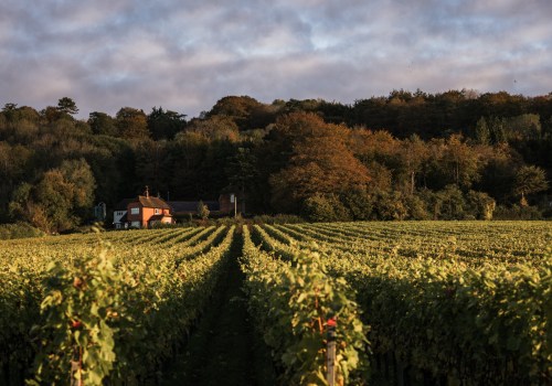 Discovering the Best Handcrafted Wines and Their First-Class Red Wine Appeal